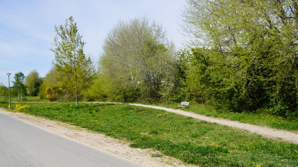 Wehl – Veenweg Bouwkavel 160 ong – Foto 3