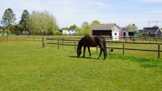 Wehl – Veenweg Bouwkavel 160 ong – Foto 5