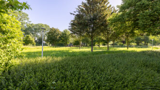 Doetinchem – Moerbeibloesem 40 – Foto 48
