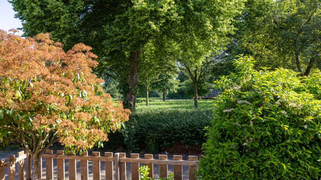 Doetinchem – Moerbeibloesem 40 – Foto 40