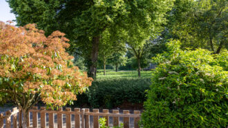 Doetinchem – Moerbeibloesem 40 – Foto 40