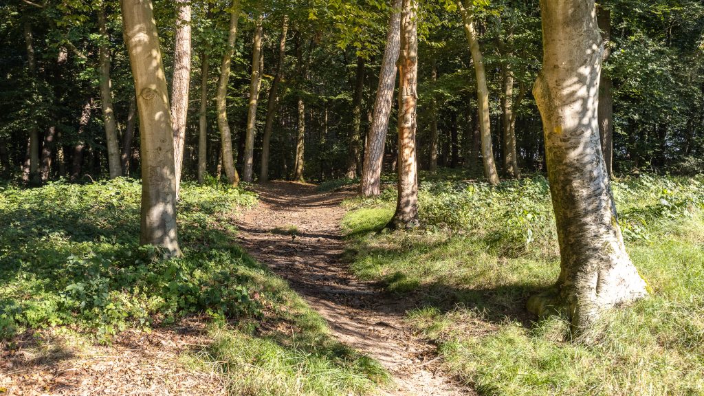 Doetinchem – Zandstraat 18 – Foto 32