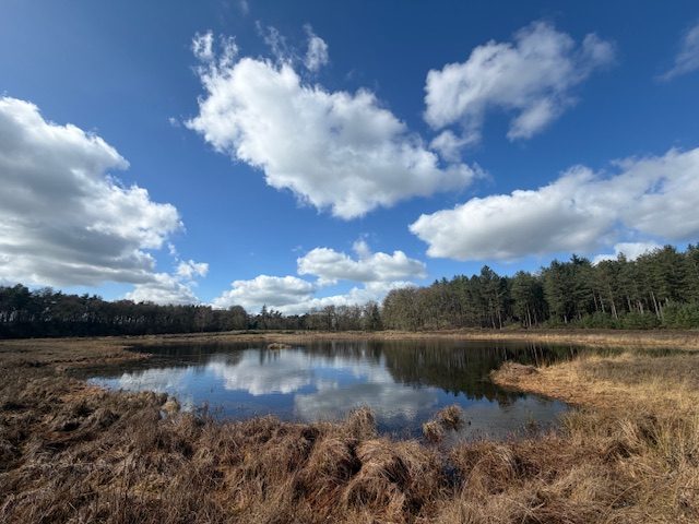 Doetinchem – Zandstraat 18 – Foto 43