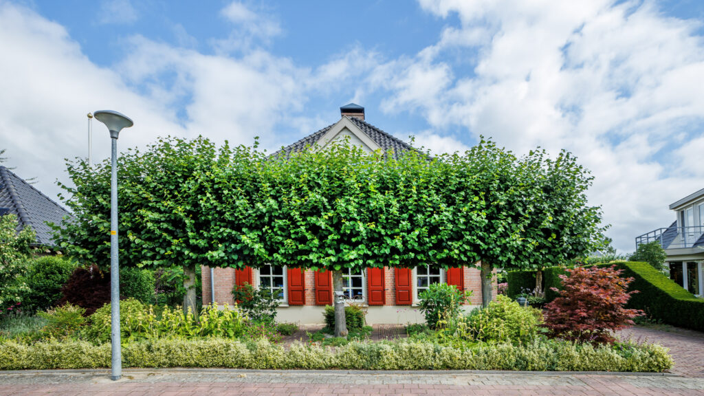 Wehl – Peppelpas 20 – Foto 45