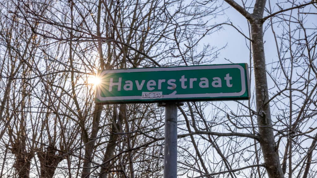 Halle – Haverstraat 61 – Foto 28