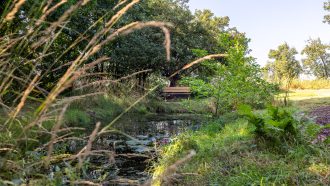 Voorst – Breedenbroekseweg 3 – Foto 74
