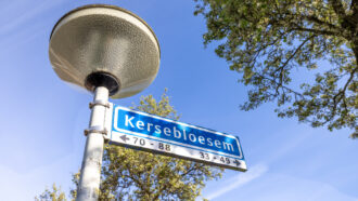 Doetinchem – Kersebloesem 86 – Foto 35